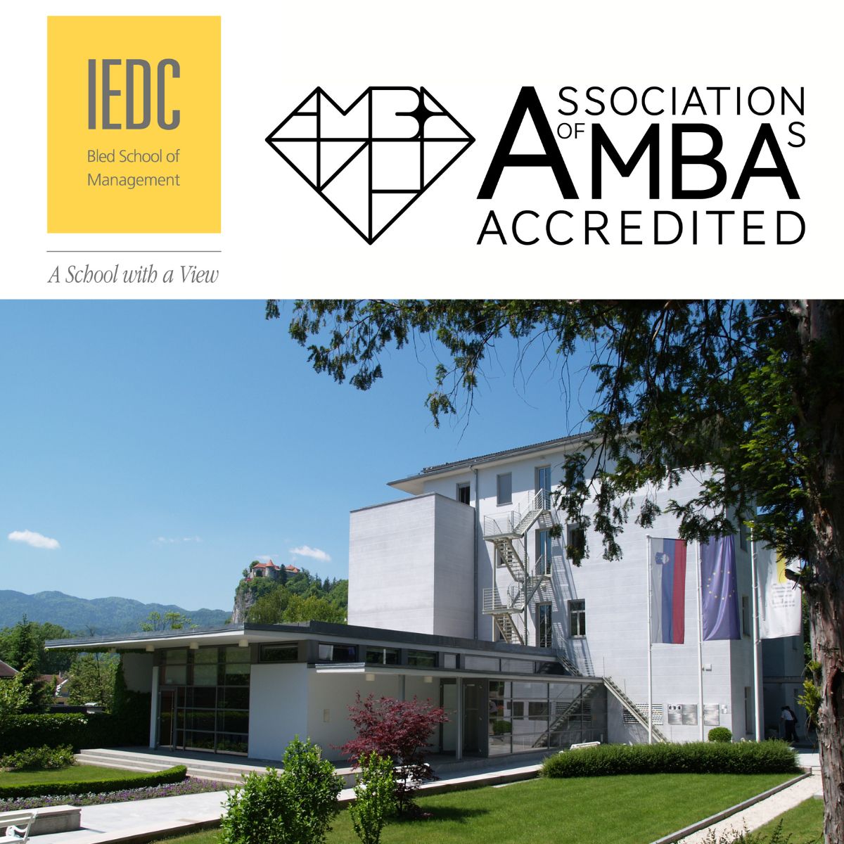 Blue and White Modern Winter Ice Skating Course Instagram Post (LinkedIn Post)